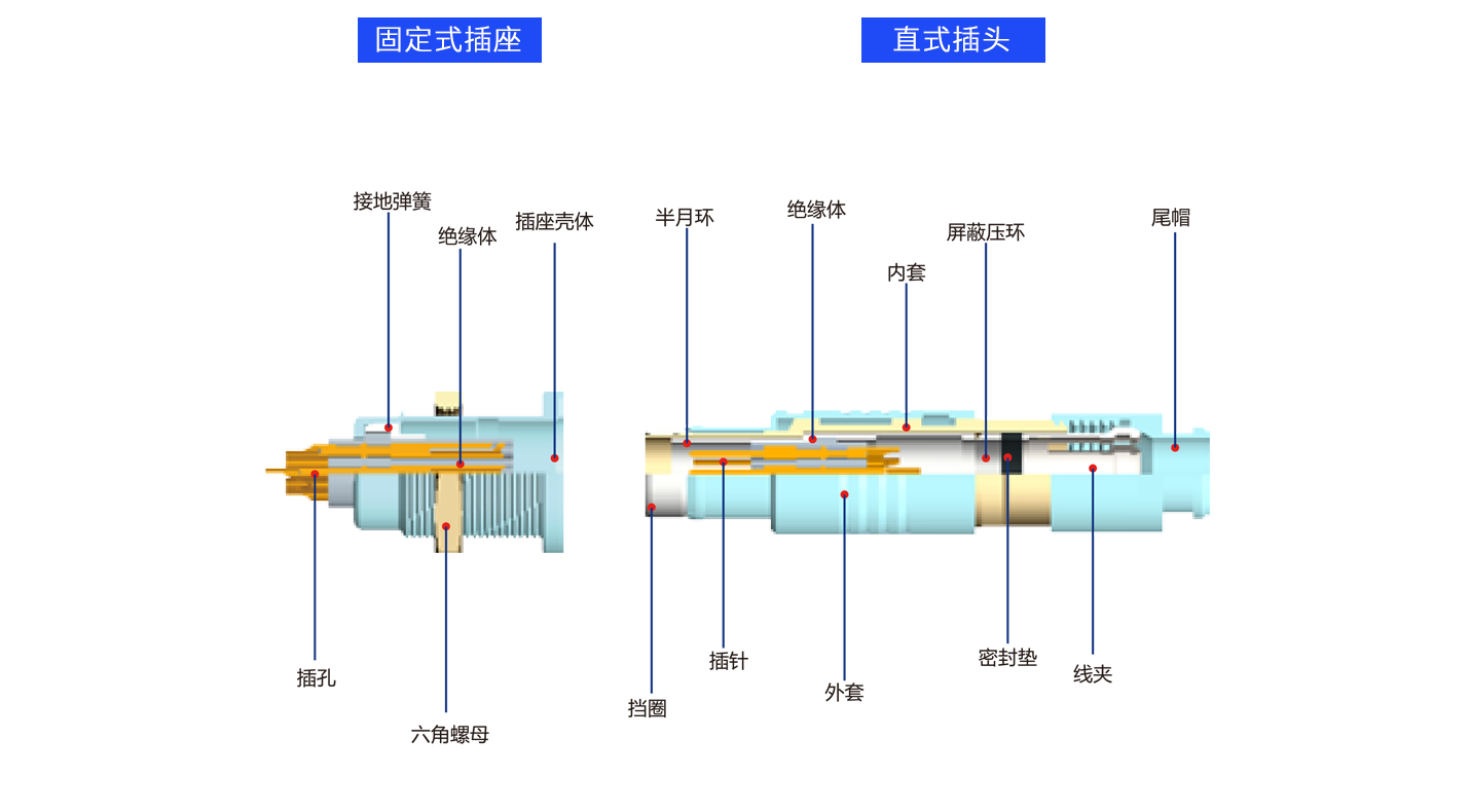 1626683736424680.png 解剖F.png