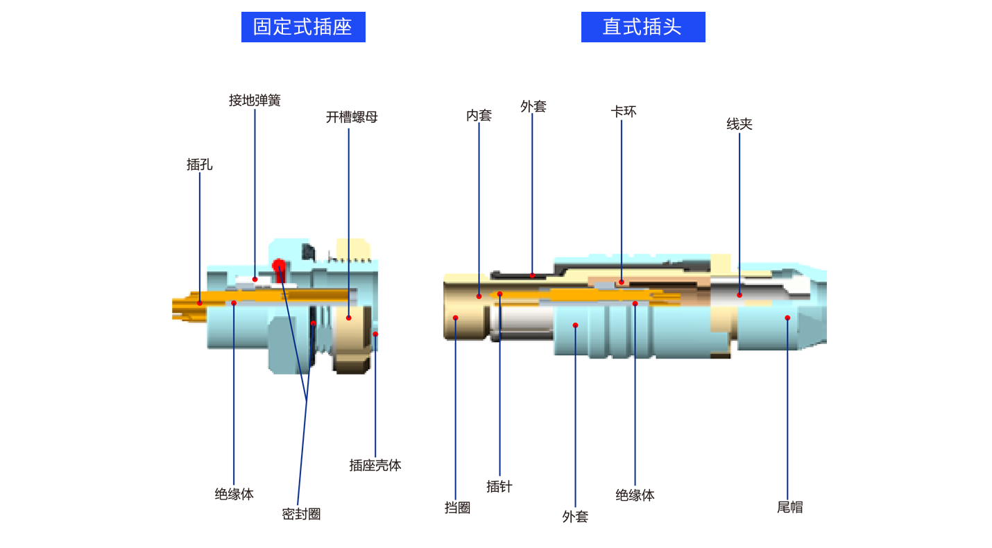 1626685272471628.png 解剖Y.png