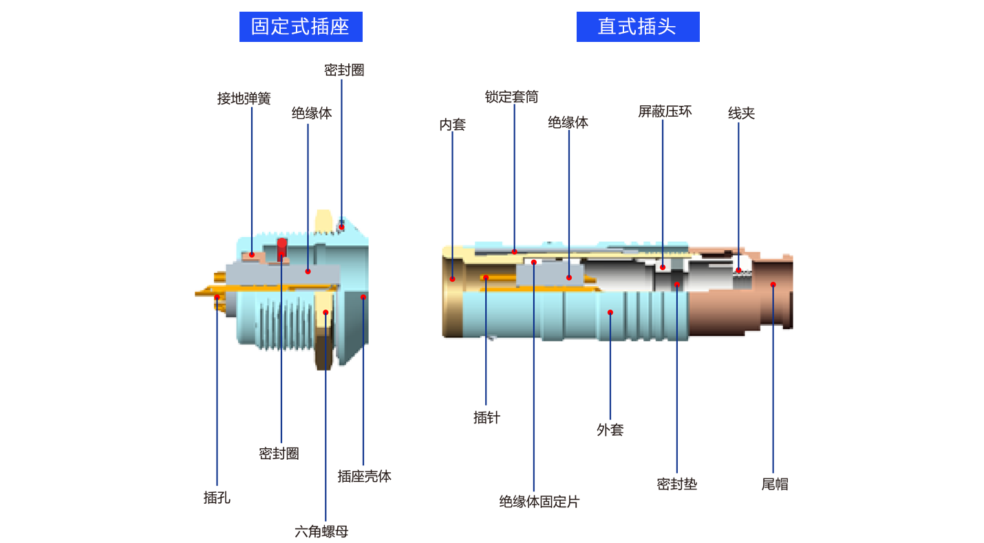 1626685665535143.png 解剖K.png