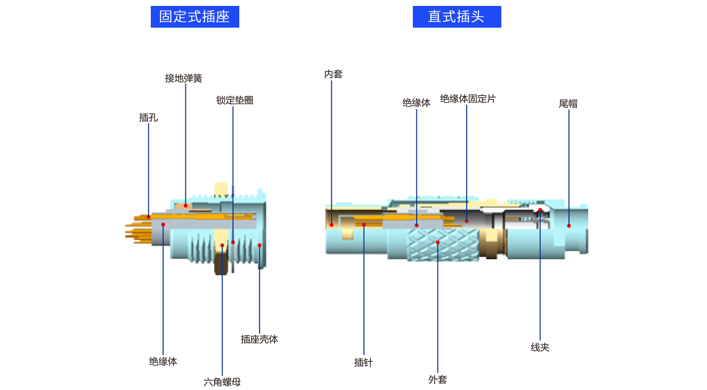 1626686289101116.png 解剖B.png